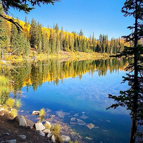 Fall aspens reflected in a mountain lake on Cedar Mountain
